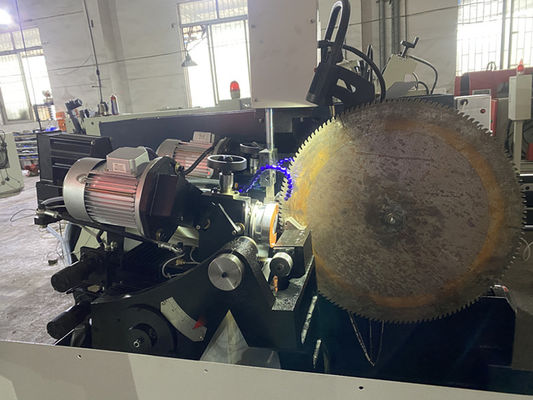 Vollautomatische CNC-Doppelschleifkopfseitenwinkel-Zahnmaschine LDX-028A