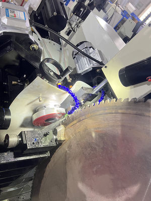 LDX-028A Dreiachsige / Fünfachsige CNC-Rundsägenblatt Doppelschleifkopf Seiteneckenschleifmaschine